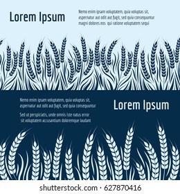 Harvest horizontal banners design. Vector wheat, rye or barley banners