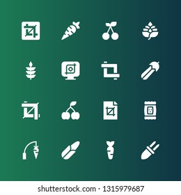 harvest icon set. Collection of 16 filled harvest icons included Corn, Carrot, Seed, Crop, Cherry, Courgette, Wheat, Hop