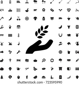 Harvest icon. set of filled agriculture icons.