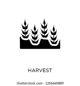 Harvest icon. Harvest symbol design from Agriculture, Farming and Gardening collection. Simple element vector illustration on white background.