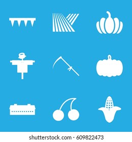 Harvest icons set. set of 9 harvest filled icons such as field, barn, pumpkin, corn, scarecrow, Cherry, plowing tool