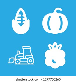 harvest icons set with pumpkin, raspberry and tractor vector set
