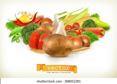 Harvest juicy and ripe vegetables vector illustration, isolated on white