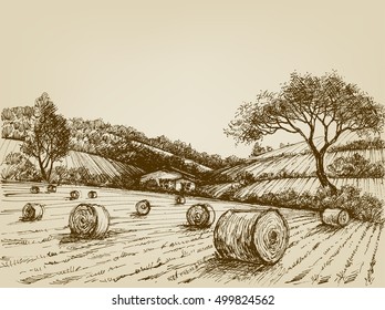 Harvest landscape,farm field and hay bales