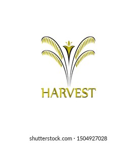 harvest leaf logo for farm and floral vector