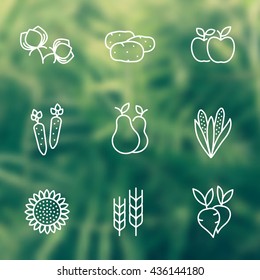 Harvest line icons, white outline, cotton, potato, beet, barley, carrot, sunflower, pear, apple, maize, vector illustration