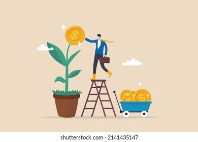 Harvest Money From Investment Profit Or Earning, Growing Wealth Or Stock Market Prosperity, Economic Boom, Savings Or Investing Concept, Businessman Harvesting Dollar Coin From Growing Money Tree.
