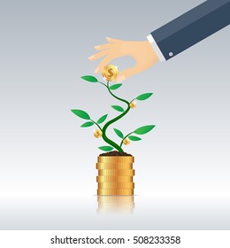 harvest Money  from the money tree, business concept , vector