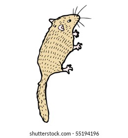 harvest mouse illustration