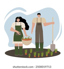Harvest people illustration featuring a man and woman collecting carrots in autumn. Flat style vector art with colorful, vibrant elements, including vegetables and farm tools. Perfect for fall designs