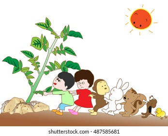 Harvest of potatoes