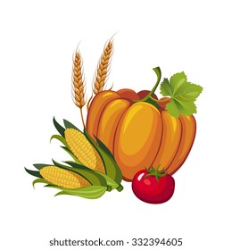 Harvest Pumpkin, Stalks and Tomato, Vector Illustration