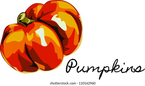Harvest Pumpkin - vector illustration