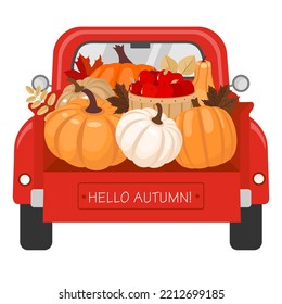 Harvest of pumpkins and apples in the back of a car trunk. Illustrated vector element.