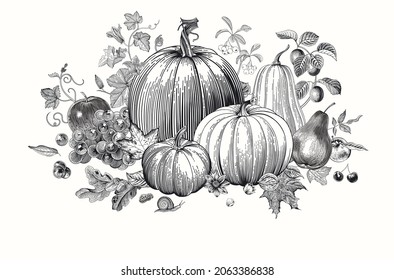 Harvest. Pumpkins and fruits. Autumn vintage botanical illustration. Black and white 