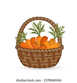 Harvest ripe carrots in a wicker basket. Isolated on white background Vector illustration