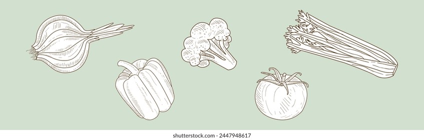 Harvest with Ripe and Mature Crop Sketch Hand Drawn Vector Set