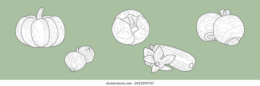 Harvest with Ripe and Mature Crop Sketch Hand Drawn Vector Set