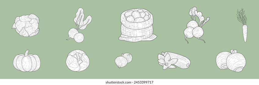 Harvest with Ripe and Mature Crop Sketch Hand Drawn Vector Set