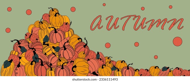 harvest of ripe orange and yellow pumpkins, mound