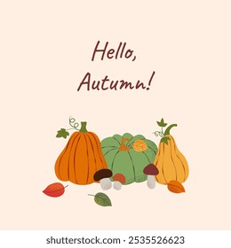Harvest season. Autumnal square card with different pumpkins, mushrooms and leaves. Noise textured effect. Trendy flat template. For poster, label, cover, background