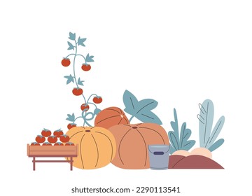 Elementos gráficos de la temporada de cosecha. Calabazas aisladas, tomates, plantas. Verduras frescas y balde de agua. Elementos vectores agrícolas