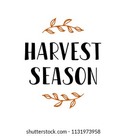 Harvest season - hand drawn lettering phrase. Greeting card with autumn leaves. Harvest fest poster design. Vector illustration. Isolated on white background.