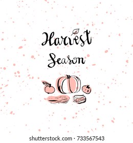 Harvest Season Hand Drawn lettering text with sketched pumpkin plant on  pastel ink texture background. Harvest autumn concept. Vector Illustration