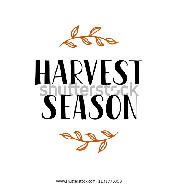 収穫の季節 手書きの文字のフレーズ 秋の葉のあいさつ文 最も人気