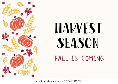 Harvest season - handdrawn lettering phrase with autumn harvest symbols. Harvest fest poster design. Template for postcard or invitation card, print. Vector illustration.