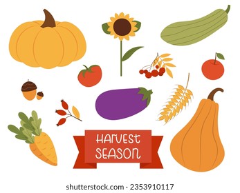 Harvest season set in flat style. Vector illustration with handwritten text