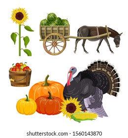 Harvest set. Donkey pulling a cart with watermelons. Autumn rural still life with turkey, pumpkins, apples in a bucket and sunflower. Vector illustration isolated on white background