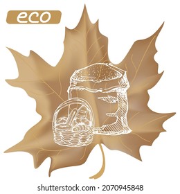 Harvest sketch on a maple leaf. Natural and organic product labels, T-shirt and bag printing.