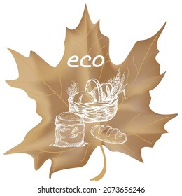 Harvest sketch on a maple leaf. Natural and organic product labels, T-shirt and bag printing.