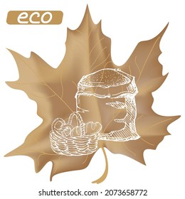 Harvest sketch on a maple leaf. Natural and organic product labels, T-shirt and bag printing.