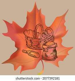 Harvest sketch on a maple leaf. Natural and organic product labels, T-shirt and bag printing.