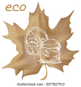 Harvest sketch on a maple leaf. Natural and organic product labels, T-shirt and bag printing.