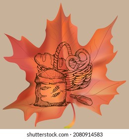Harvest sketch on a maple leaf. Natural and organic product labels, T-shirt and bag printing.