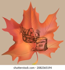 Harvest sketch on a maple leaf. Natural and organic product labels, T-shirt and bag printing.