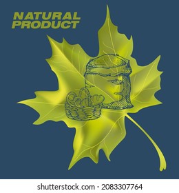Harvest sketch on a maple leaf. Natural and organic product labels, T-shirt and bag printing.