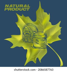 Harvest sketch on a maple leaf. Natural and organic product labels, T-shirt and bag printing.