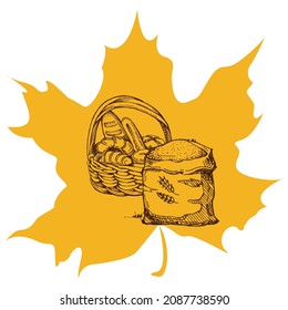 Harvest sketch on a maple leaf. Natural and organic product labels, T-shirt and bag printing.
