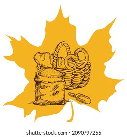 Cosecha un boceto en una hoja de arce. Etiquetas de productos naturales y orgánicos, camisetas e impresión de bolsos.