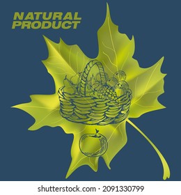 Harvest sketch on a maple leaf. Natural and organic product labels, T-shirt and bag printing.