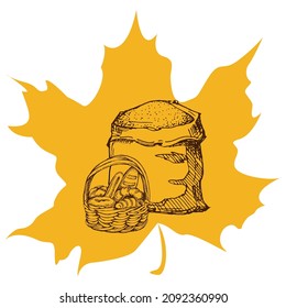 Harvest sketch on a maple leaf. Natural and organic product labels, T-shirt and bag printing.