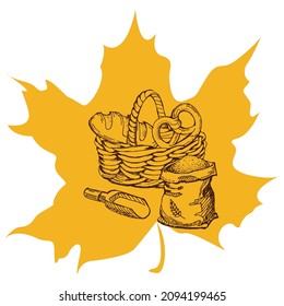 Harvest sketch on a maple leaf. Natural and organic product labels, T-shirt and bag printing.