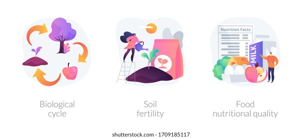 Harvest and soil productivity abstract concept vector illustration set. Biological cycle, soil fertility, food nutritional quality, agricultural cycle, available nutrients value abstract metaphor.