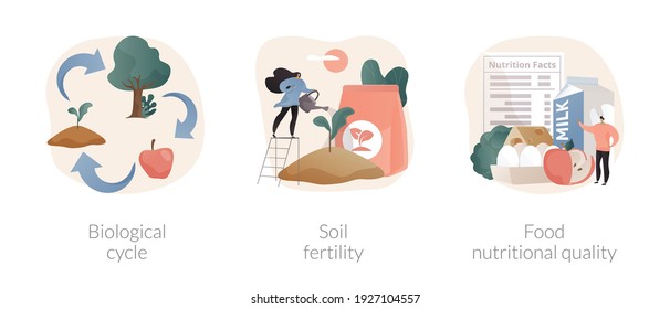 Harvest and soil productivity abstract concept vector illustration set. Biological cycle, soil fertility, food nutritional quality, agricultural cycle, available nutrients value abstract metaphor.