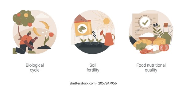 Harvest and soil productivity abstract concept vector illustration set. Biological cycle, soil fertility, food nutritional quality, agricultural cycle, available nutrients value abstract metaphor.