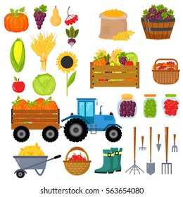 Harvest symbols isolated vector.
